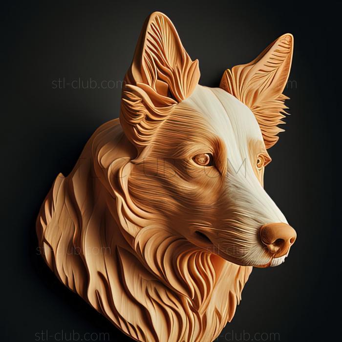 3D model st Shorthair Collie dog (STL)